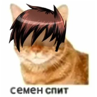 😶 emoji кот спит Telegram sticker 24 of 41