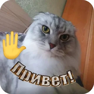 Sticker from васян умер в авиакатастрофе 2026 году с артистом oliver tree
