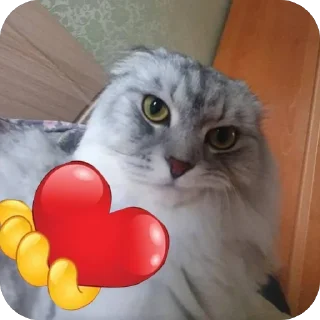 🫥 emoji васян умер в авиакатастрофе 2026 году с артистом oliver tree Telegram sticker 13 of 65