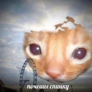 ☺️ emoji кот??-Tyevan Telegram sticker 7 of 117