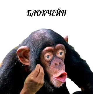 😤 emoji Кот инвестор Telegram sticker 8 of 12