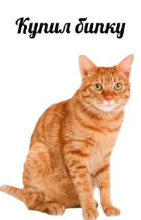 ❤ emoji Кот инвестор Telegram sticker 2 of 12