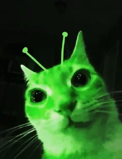 🌟 emoji Кот инопланетянин/cat alien Telegram sticker 6 of 11