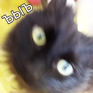 🥴 emoji Стикеры от: Кот🚩 Telegram sticker 5 of 11