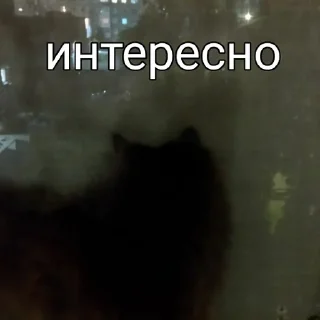 🤔 emoji Стикеры от: Кот🚩 Telegram sticker 10 of 11