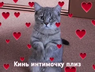 💗 emoji пикчи💗💗 Telegram sticker 9 of 25