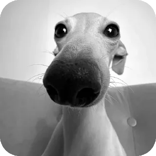 👍 emoji сбк Telegram sticker 6 of 7