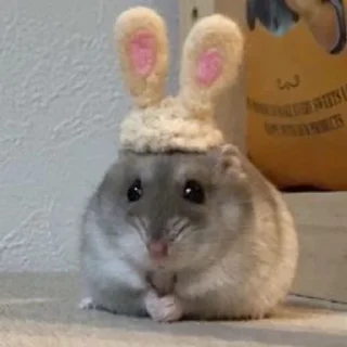 Sticker from hamsters