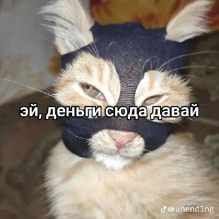 Sticker from пздц...