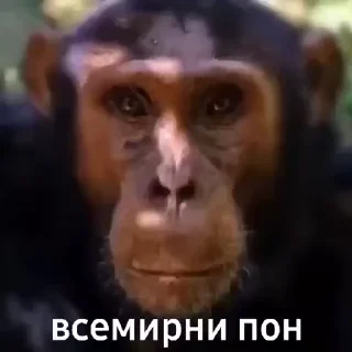 🥰 emoji Странные кiрiещкi Telegram sticker 10 of 48