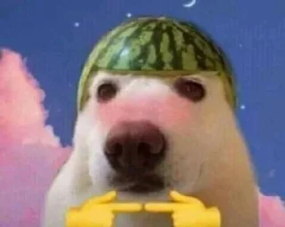 👉 emoji Мемы Telegram sticker 8 of 113