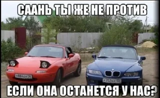 🌟 emoji Саня и его глазастая тачка Telegram sticker 7 of 24