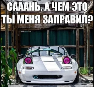 🌟 emoji Саня и его глазастая тачка Telegram sticker 11 of 24