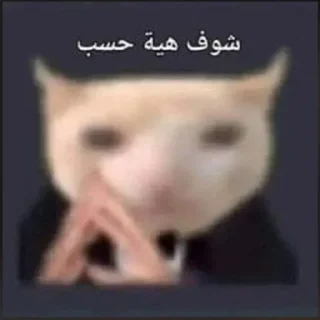 🗿 emoji يوسف الراقي فردنوب : @Jubx4 Telegram sticker 5 of 120