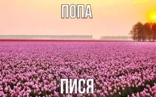 🌟 emoji для бестиков Telegram sticker 12 of 120
