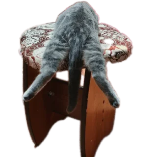 Sticker from Лисса😸