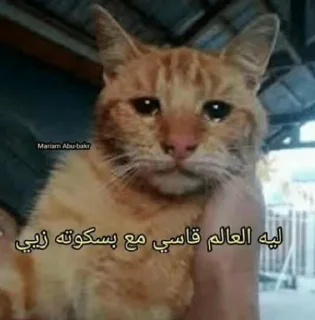 🥲 emoji اقوى طالب SJ Telegram sticker 2 of 120