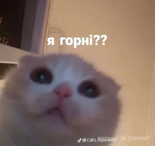 😋 emoji сухарик Telegram sticker 14 of 29