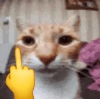 🖕 emoji оаоа @sgushyeonka Telegram sticker 13 of 21
