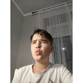 😗 emoji Максимка Telegram sticker 14 of 99