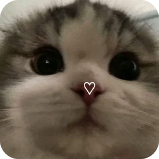 🌟 emoji Love Telegram sticker 9 of 9