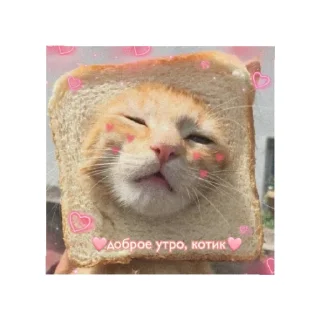 Sticker from День/ ночь