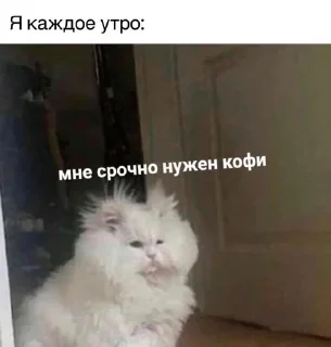 ☕️ emoji Стикеры?;) Telegram sticker 16 of 54