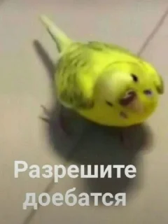 ☺ emoji Стикеры?;) Telegram sticker 10 of 54