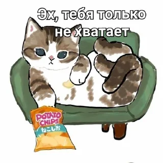 🌟 emoji котики♡ Telegram sticker 21 of 65