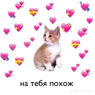 🌟 emoji Пикчи для любимой Telegram sticker 16 of 80