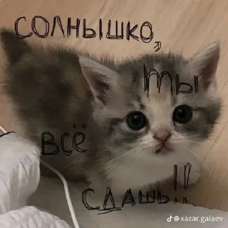 🌟 emoji Пикчи для любимой Telegram sticker 14 of 80
