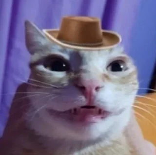 🤠 emoji cats Telegram sticker 22 of 27
