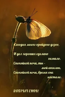 🌙 emoji Доброй ночи Telegram sticker 14 of 43