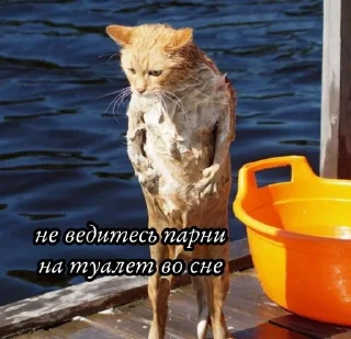 😿 emoji споки-ноки во все дырки Telegram sticker 9 of 14