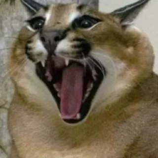 😱 emoji 4 ночи с котами мемами Telegram sticker 16 of 64