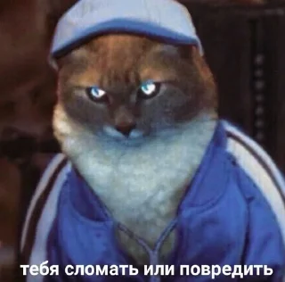 😡 emoji мемная папка влада Telegram sticker 24 of 118