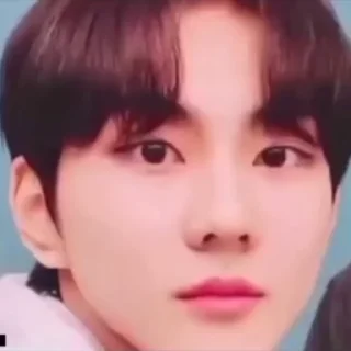 😐 emoji jungwon is not okay @paytonmyoppa Telegram sticker 14 of 50