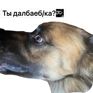 🧐 emoji Мистер Бон (Боня) ➡️ @Ctikerubot Telegram sticker 6 of 9