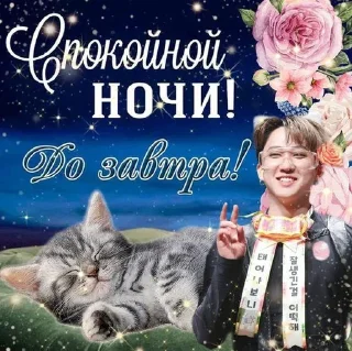 😴 emoji Для важных переговоров Telegram sticker 10 of 29