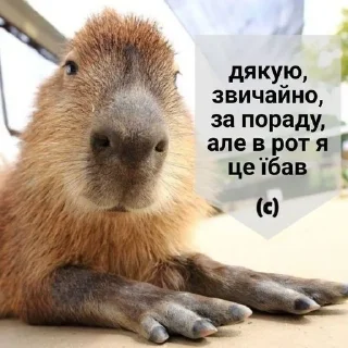 🌟 emoji помемнічати Telegram sticker 9 of 30