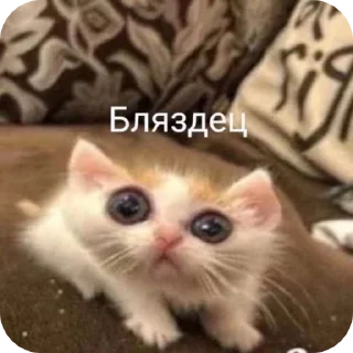 😐 emoji nsfwml Telegram sticker 20 of 31