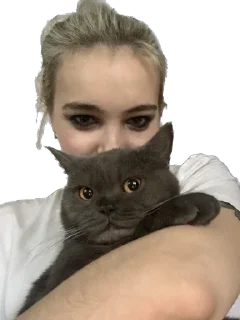 🥺 emoji Pussy rules Telegram sticker 13 of 14