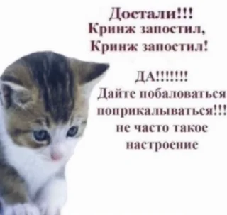 🥲 emoji Zтикеры Telegram sticker 15 of 84