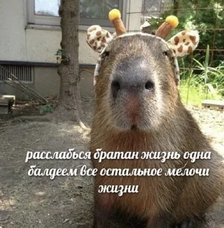 🌟 emoji Письки сучки блять Telegram sticker 6 of 94