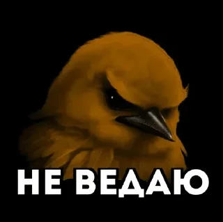 🌟 emoji Птiчкэ😱 by w1zz Telegram sticker 15 of 120
