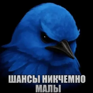 🌟 emoji Птiчкэ😱 by w1zz Telegram sticker 21 of 120