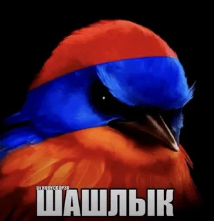 🌟 emoji Птичке с тт @Froggicatcool Telegram sticker 24 of 120
