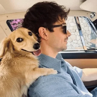 🌟 emoji Charles Leclerc :: @doroshkayyf1 Telegram sticker 12 of 55
