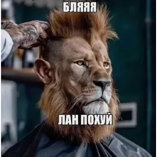 😐 emoji БОЛЬШЕ ⇨ @CLOOBHUB MEMES TG МЕМЫ ТГ МГА MHA JJBA Telegram sticker 19 of 119