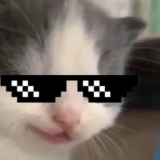 😎 emoji котеки ат шуги Telegram sticker 17 of 18